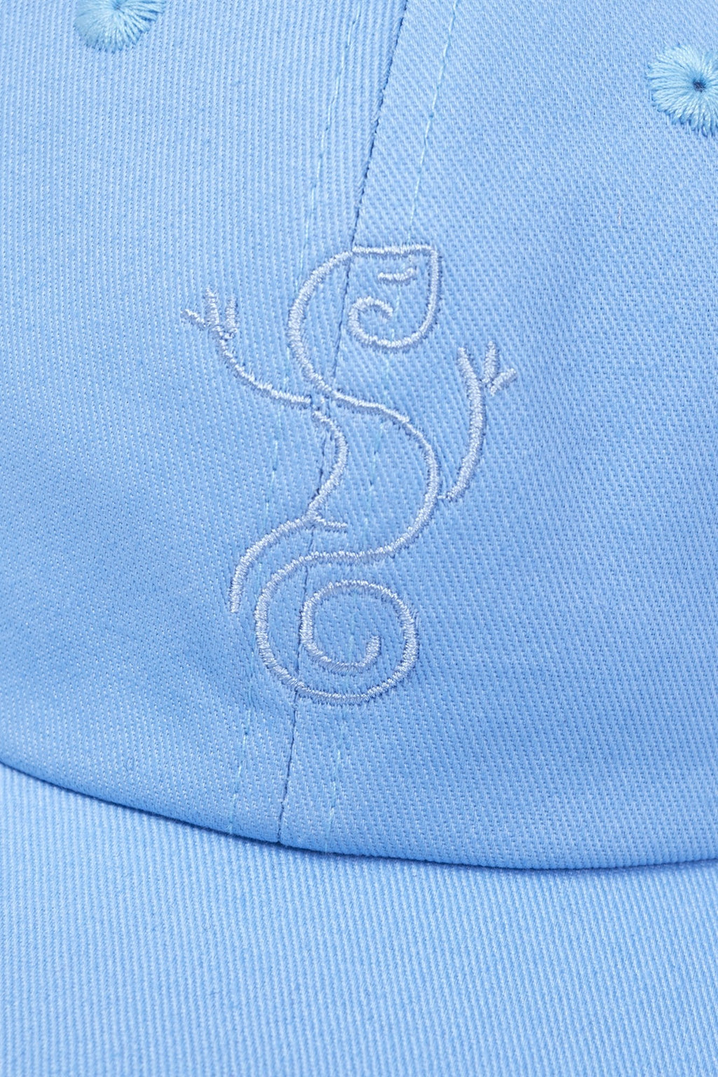 Lagarto Cap Light Blue